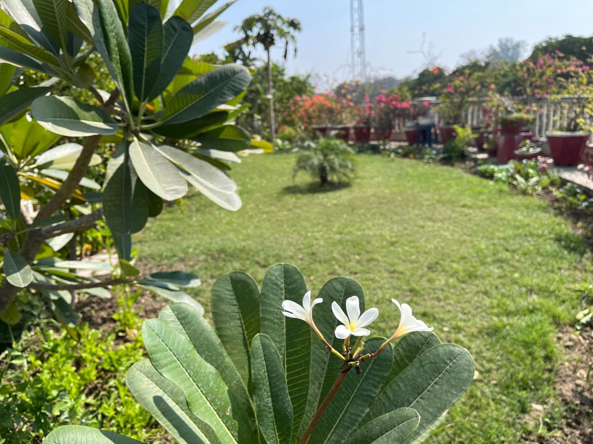 Hotel Mulberry Garden Varanasi Exterior foto